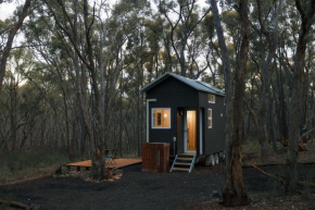 Treetops Tiny
